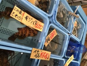 ブランチ横浜南部市場　鮮魚　魚屋さん